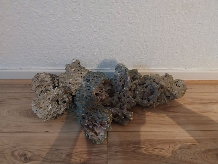 Coral rocks