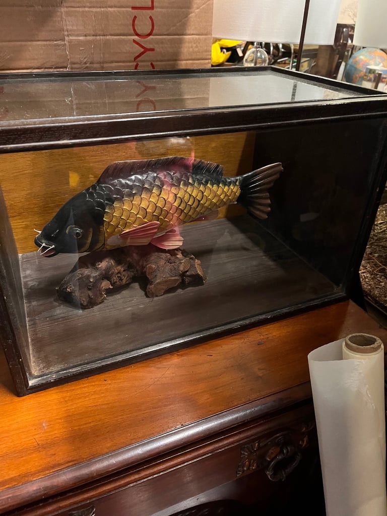 Vintage Taxidermy Style Large CARVED WOODEN Fish in Display Case 52 X 32 X32cms