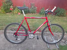 MENS GENTS ADULTS RALEIGH FIREFLY 26 INCH WHEELS 23 INCH FRAME 18 SPEED BIKE BICYCLE