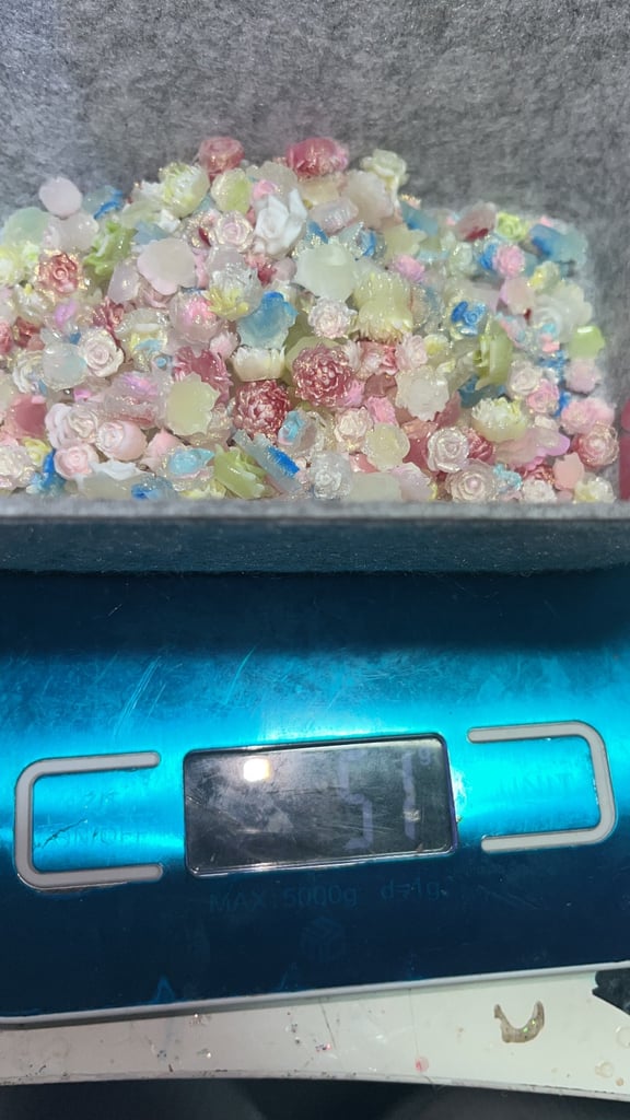 Lab cross dobe puppies