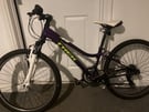 Girls trek mountain bike