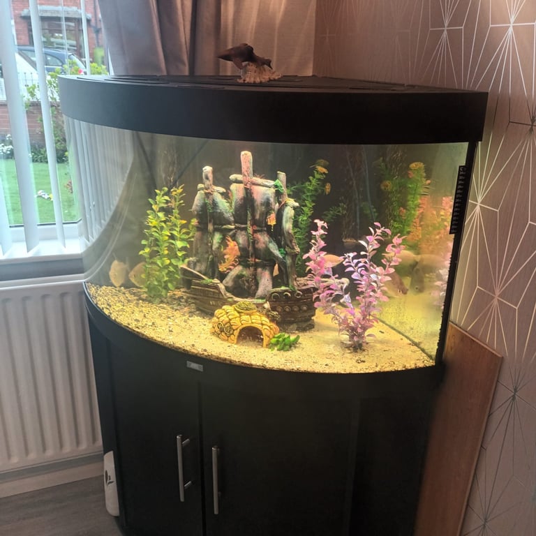 190l corner aquarium including fish