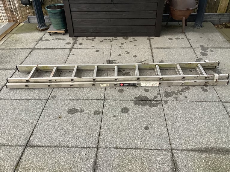 image for YOUNGMAN DOUBLE EXTENDING LADDER 