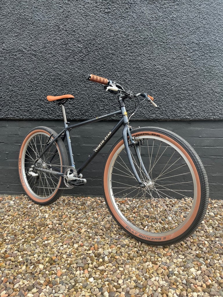 Fully Serviced Retro USA MTB North Star La Luna Restomod