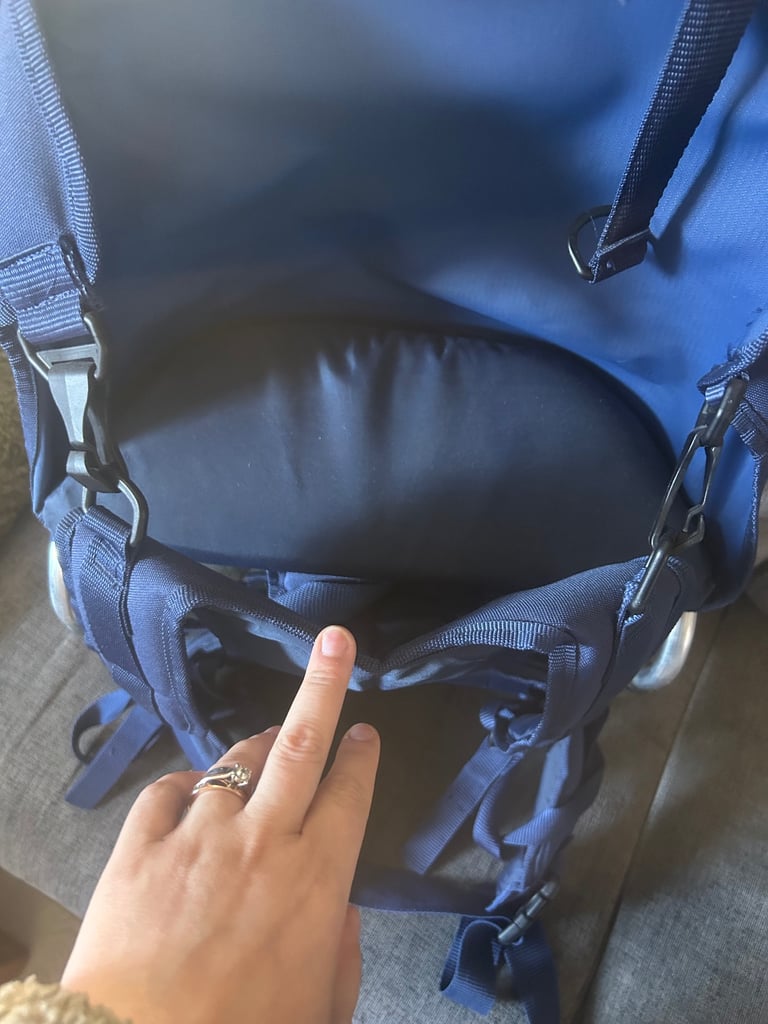 Toddler back pack carrier 