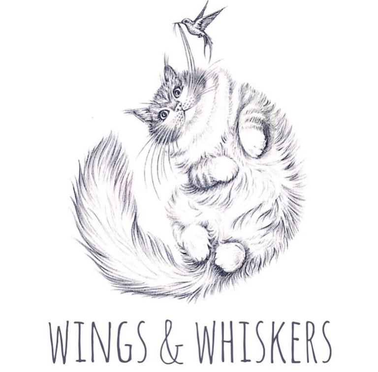 Graphic Artist & Web Design, SEO, Book CD, Album and DVD covers, Packaging, Posters, Leaflets, Logo