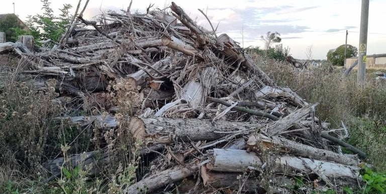 Seasoned Softwood Logs - ready to burn