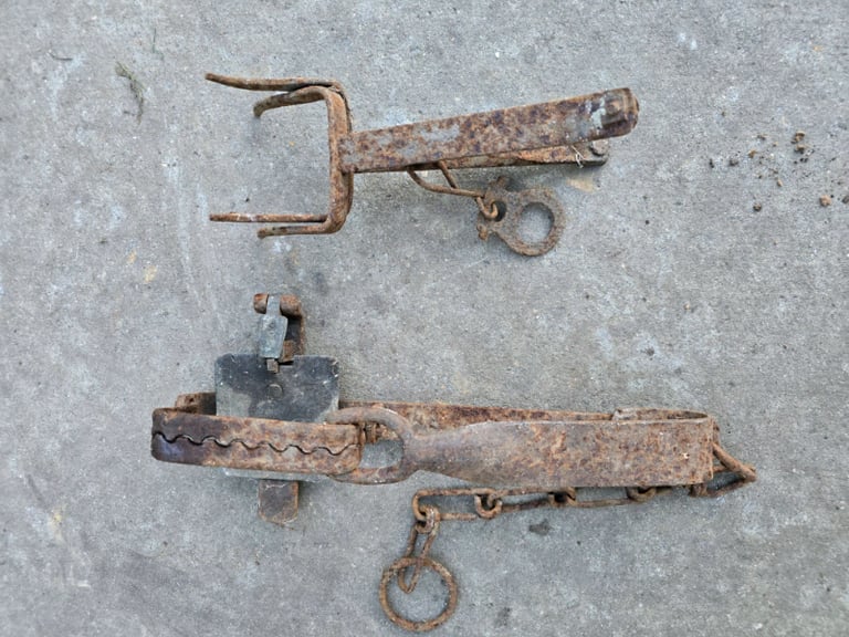 Vintage Gintrap and mole trap