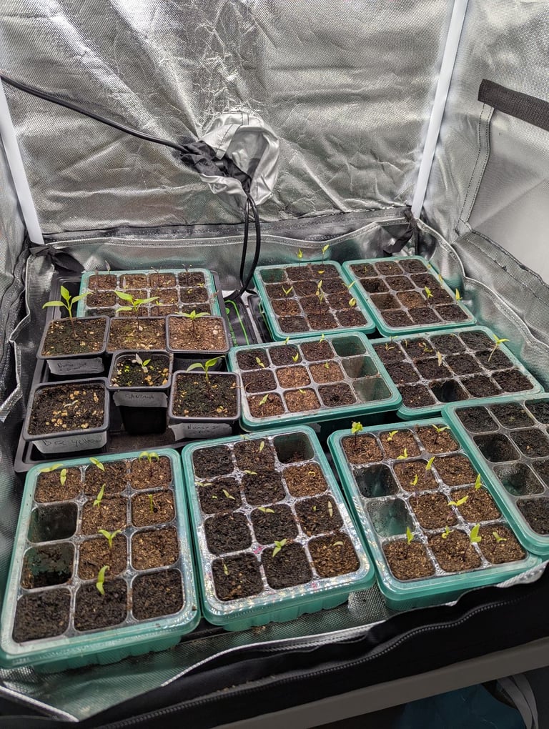 2 x Grow lights and 1x tent VIPARSPECTRA P1000, P600 + 2 free seedling heat mats!