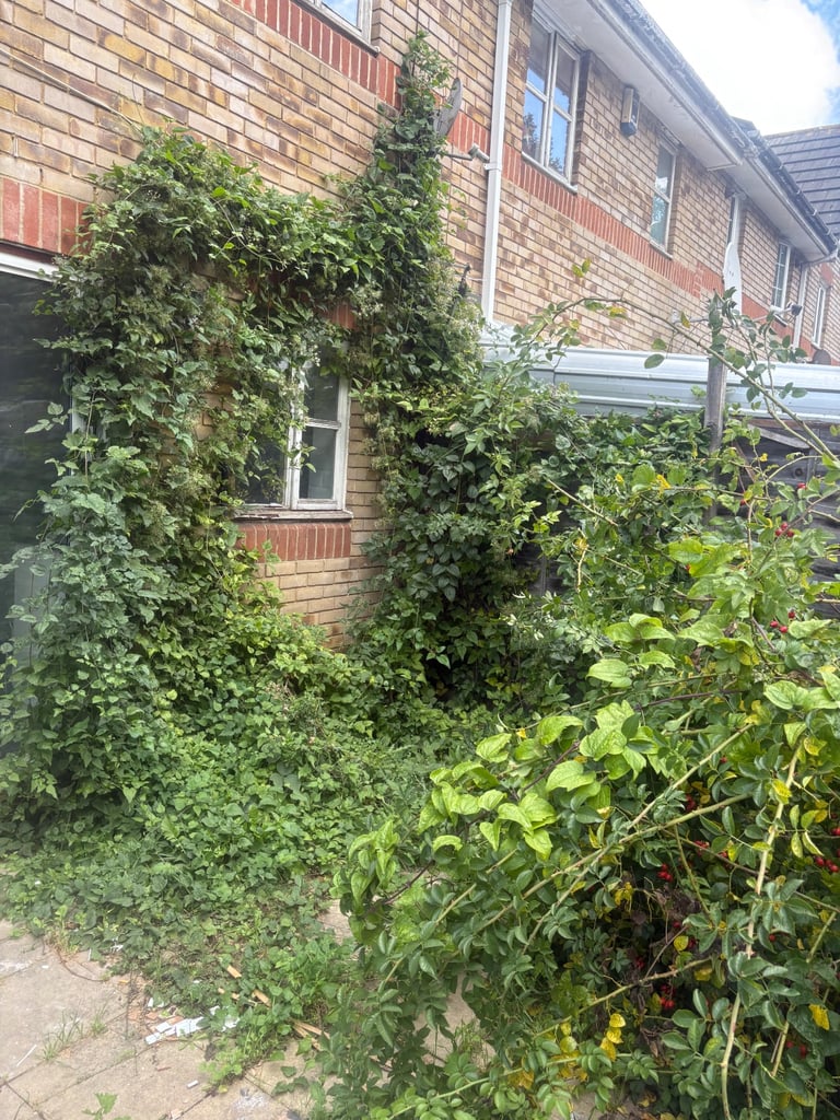 image for Able gardening and tree services 
