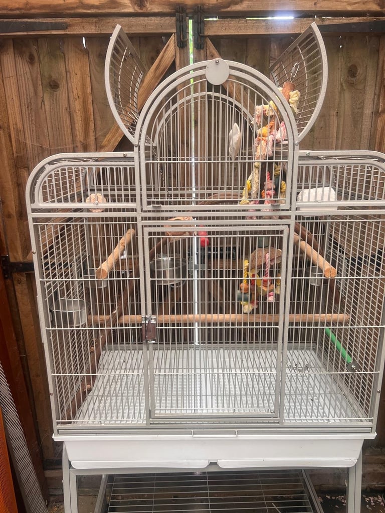 Big bird cage