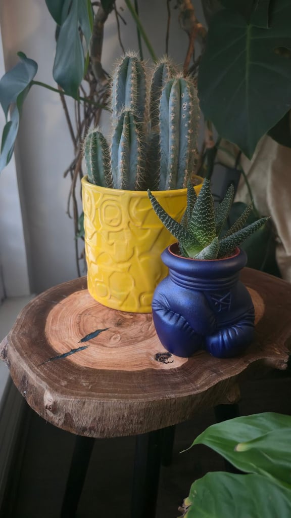 image for Boxing glove plant pot 
