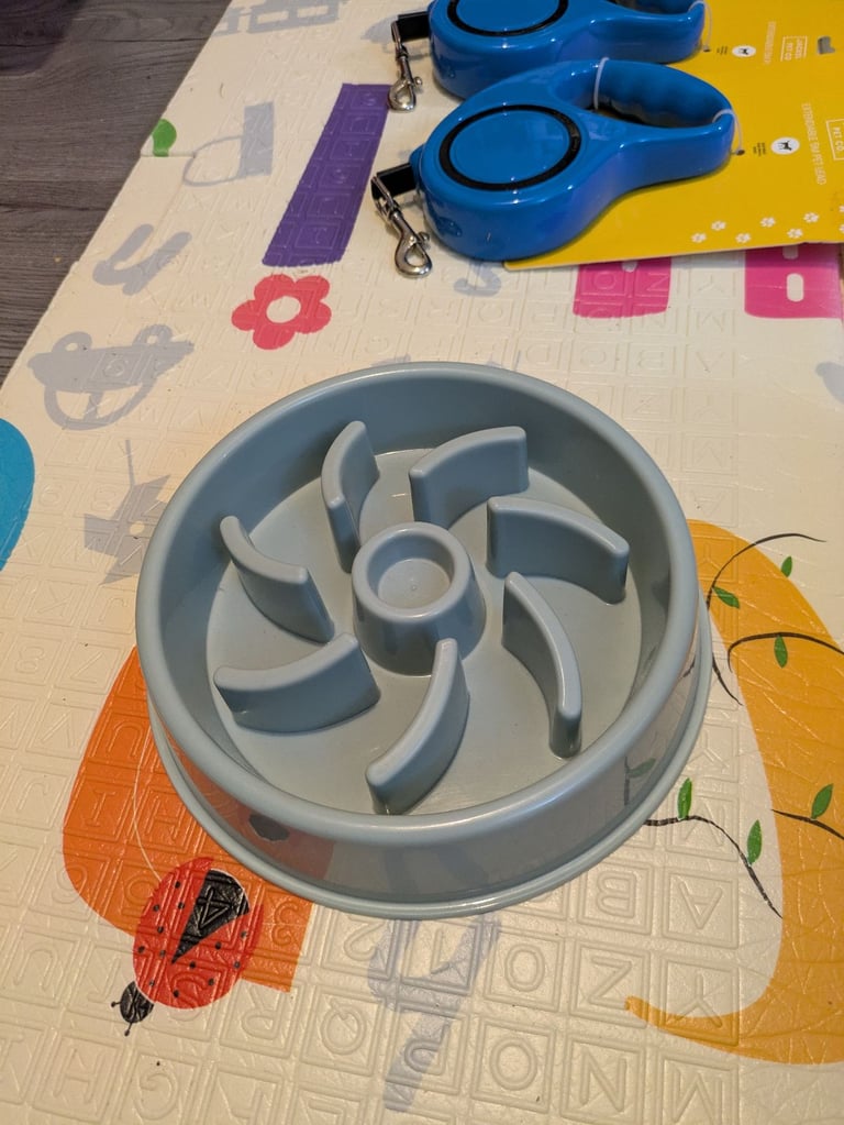 🐶 Jackson.Co Pet Accessories Job Lot – Brand New & Unused! 🐶