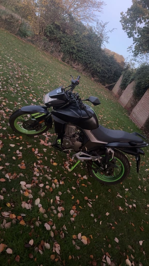 Zontes, SCORPION, 2020, 124 (cc)