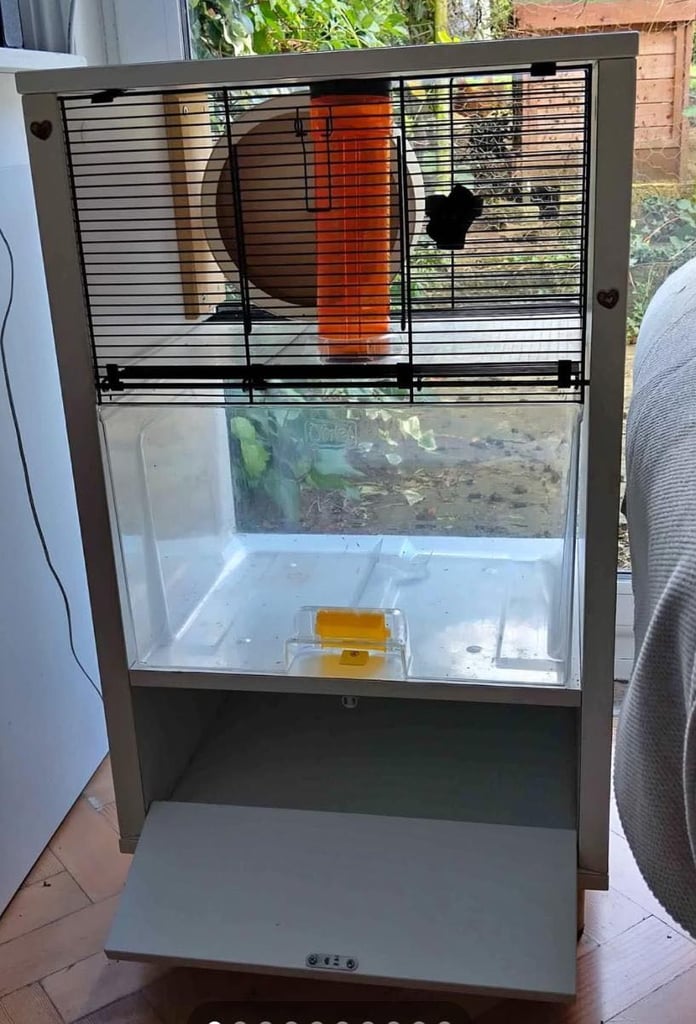 Complete Syrian Hamster Set 