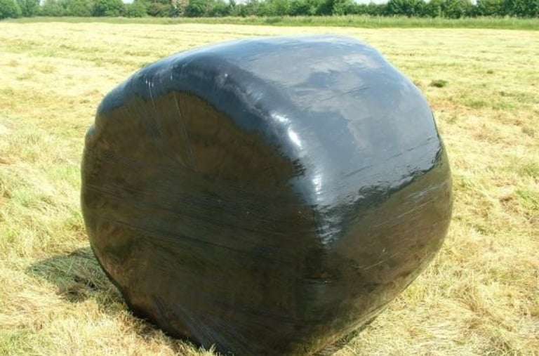 Silage Bales 