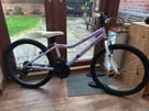 Girls 24inch wheel bike