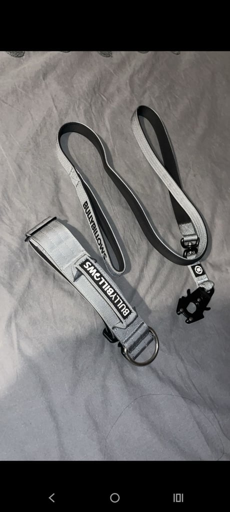 Brand new Bullybillows collar and lead