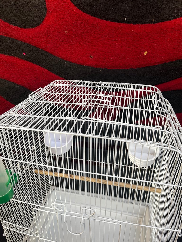 White Arch Roof Bird Cage