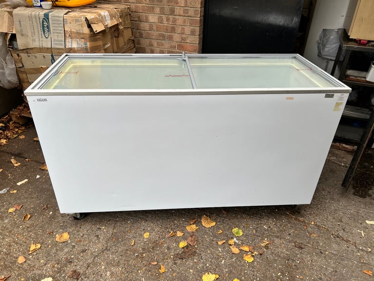 Commercial Deep Chest Freezer
