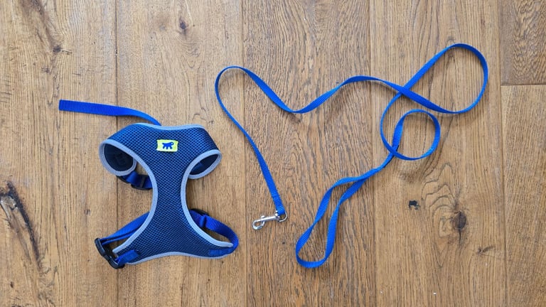 Miscellaneous Dog/Cat equipment-Prices vary.