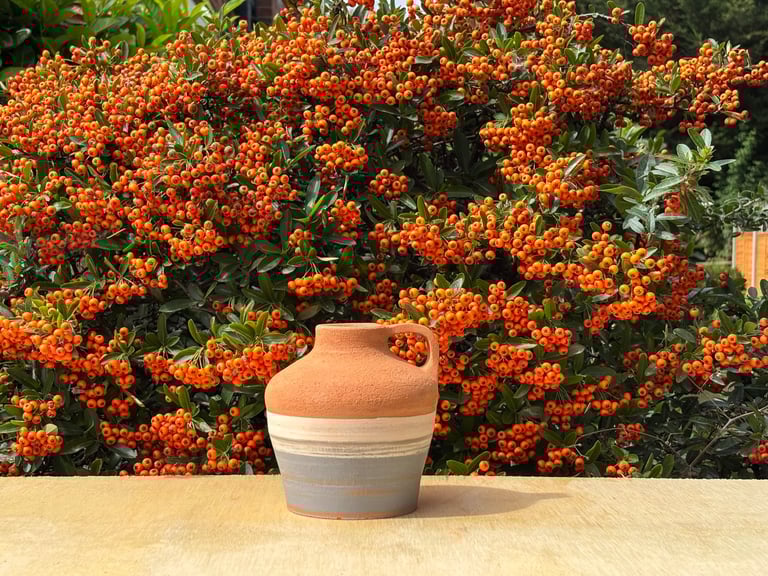 image for  Ceramic pots