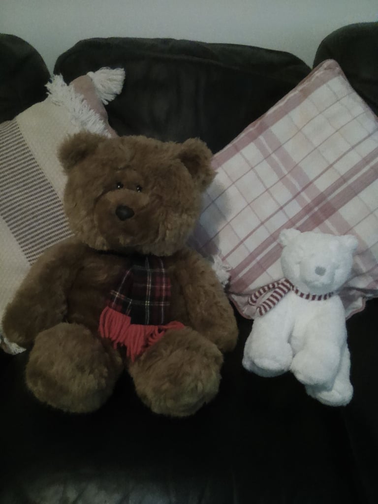 One large brown teddy bear with a scarf