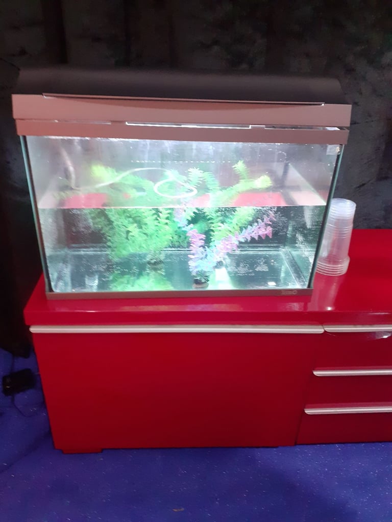 Fish tank 