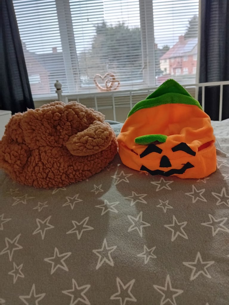 2 dog hats 