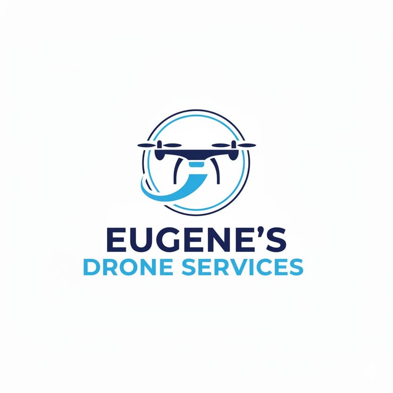 image for Drone Services