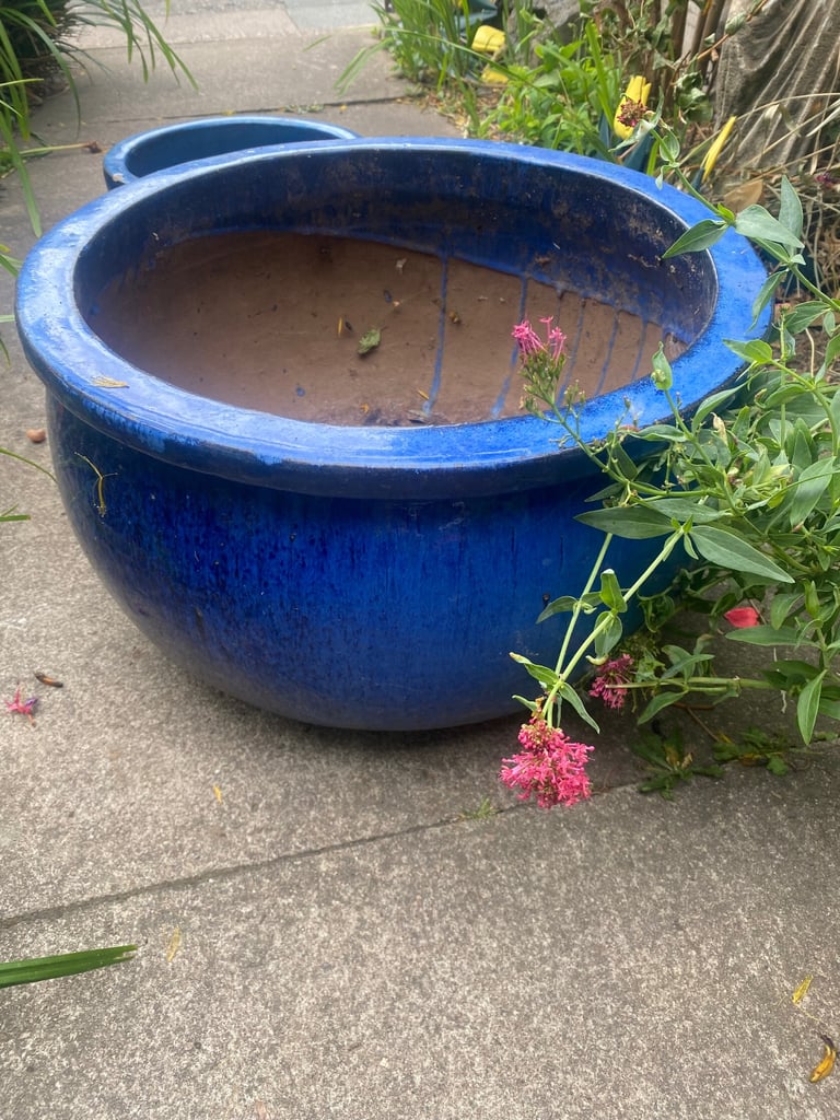 image for Blue ceramic pots+ White Pot 