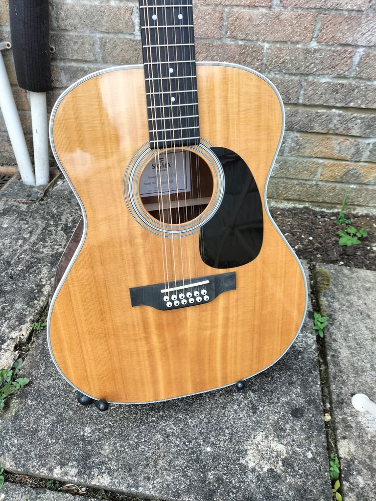 Sigma 12 string acoustic with fish man pick up