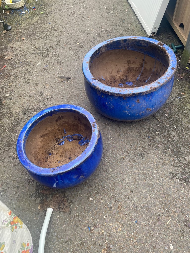Blue ceramic pots+ White Pot 