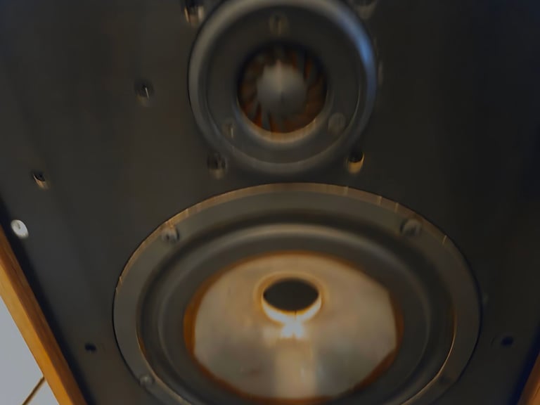 Spendor SP1 Speakers