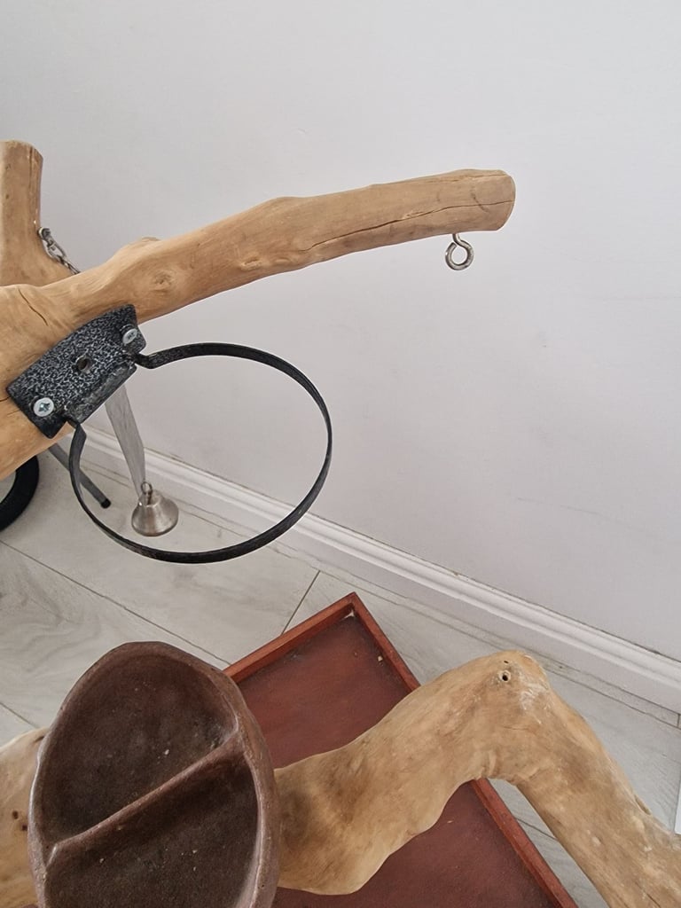 Parrot Java Tree perch