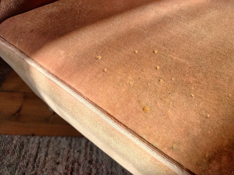 2 x Antique Wingback Armchairs