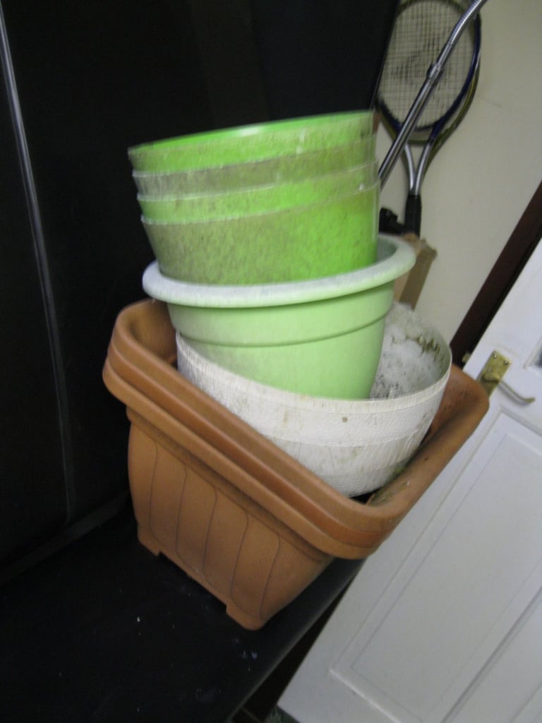 LARGE SIZE PLANT POTS GUNNISLAKE PL18 9NA