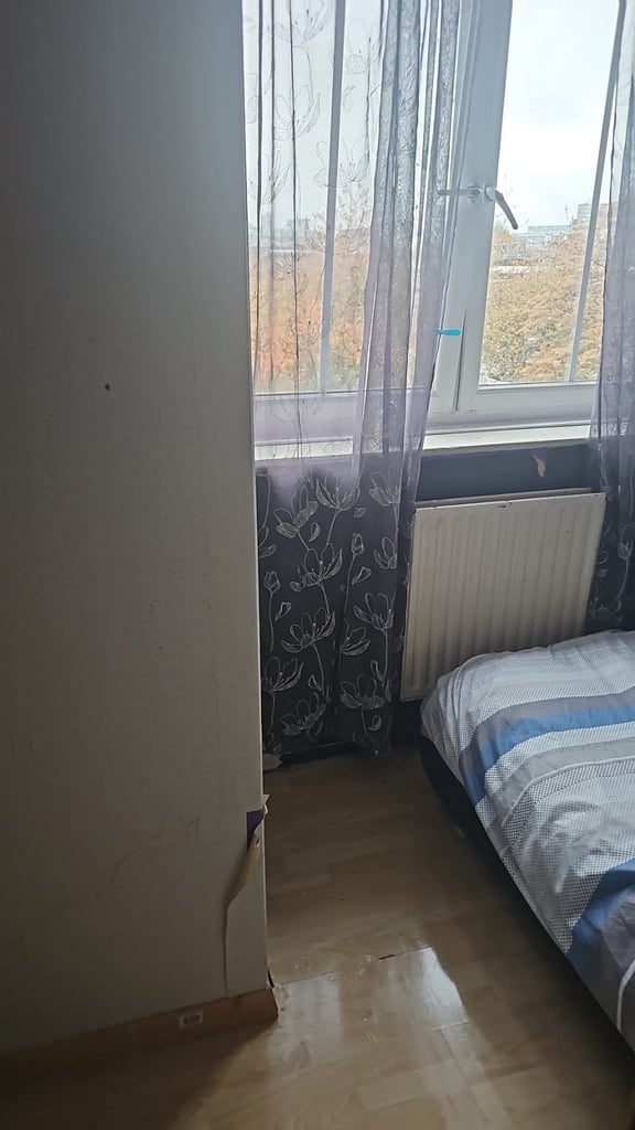 Single room to rent 