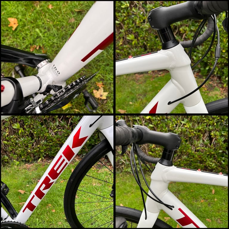 Trek Domane AL3 Disc - Endurance / Road / Gravel Bike - Carbon Forks - 54cm