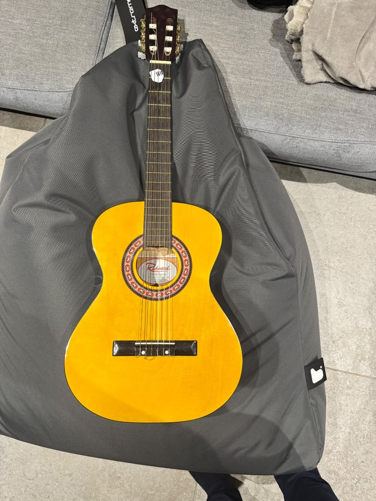 Starter Guitar and Case