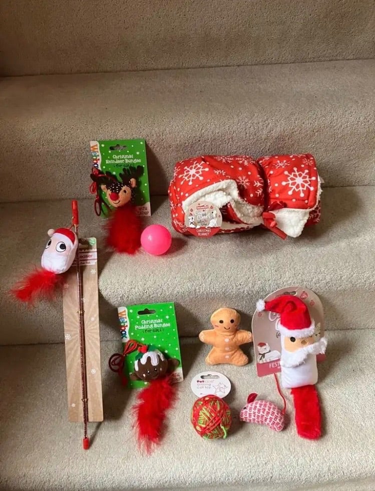 Cupid & Comet pet Christmas Blanket/Webbox bungee toys and other cat toys and teasers