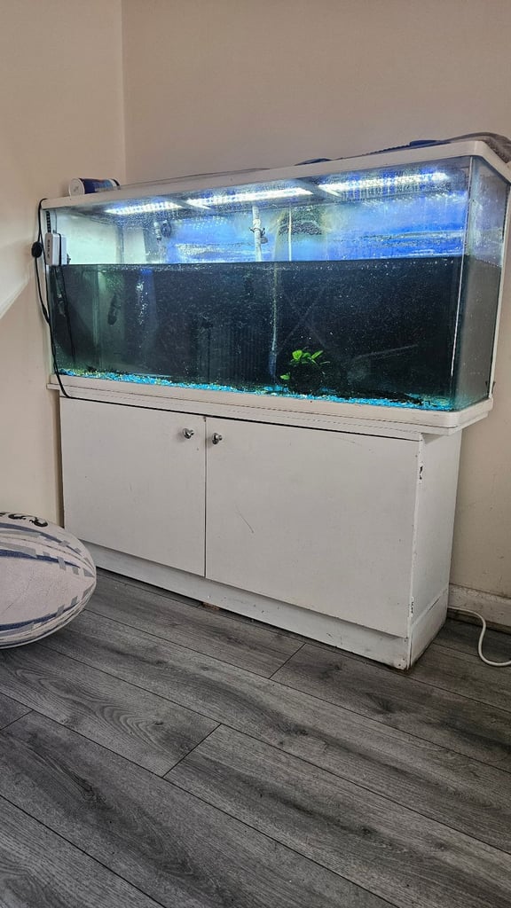 image for Tank set-up for sale