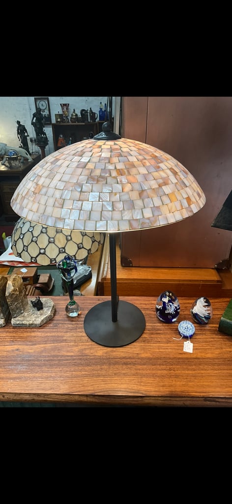 Genuine sea shell lamp 