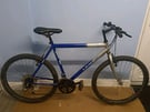 Loader Mountain Bike (Free delivery)