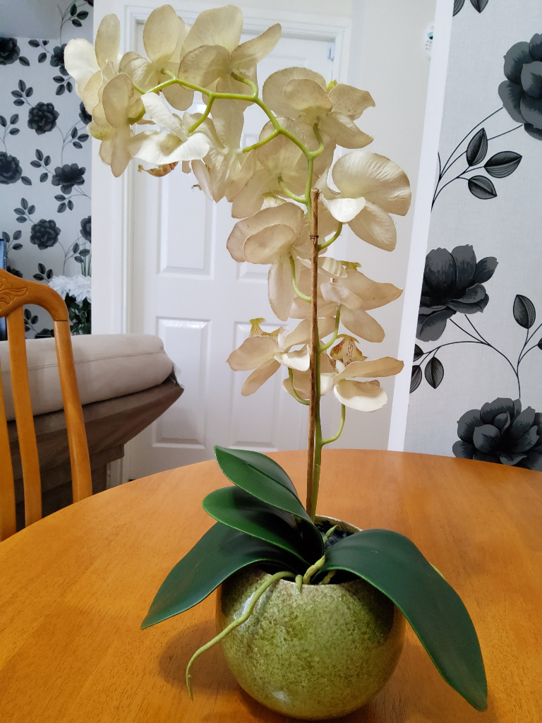 Artifical Orchid 