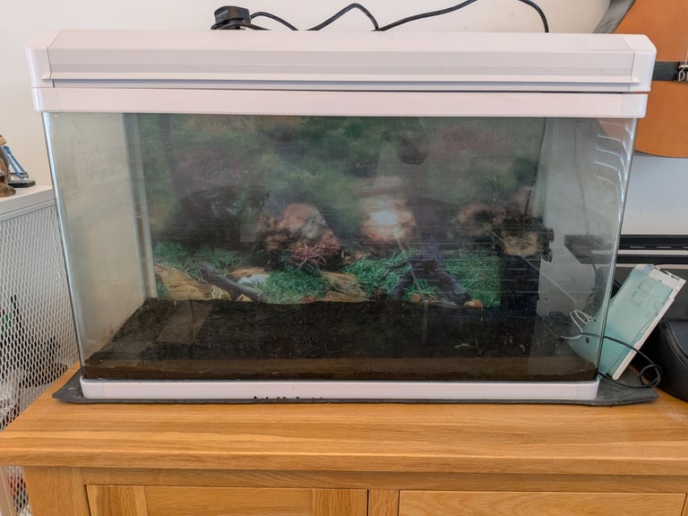 Glass Aquarium - white