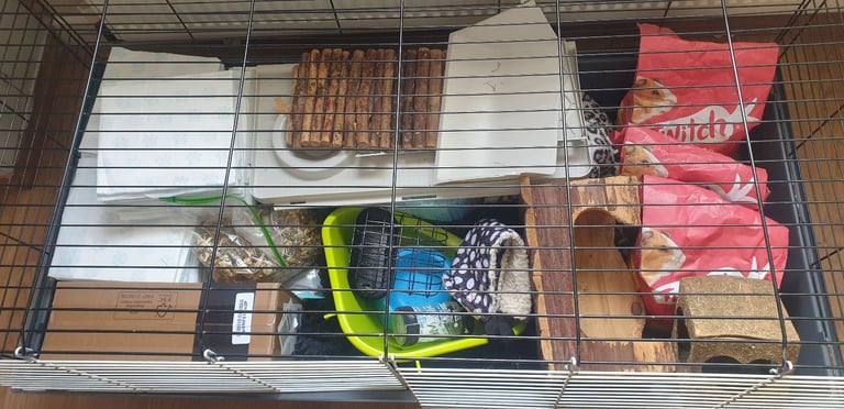 Full Set Up Cage for Guinea Pig 