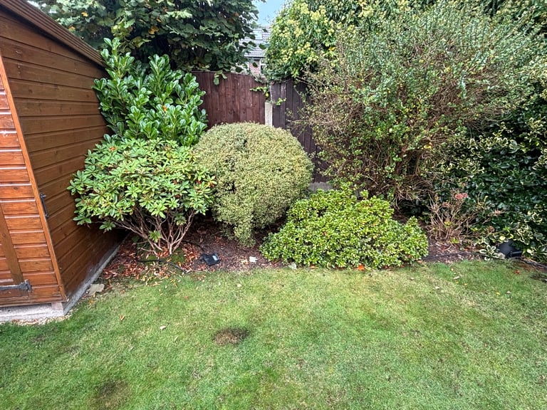 image for pond building service and pond maintenance
