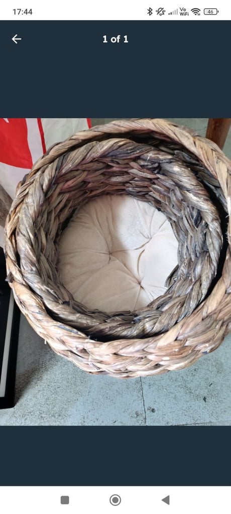 image for Cat basket 