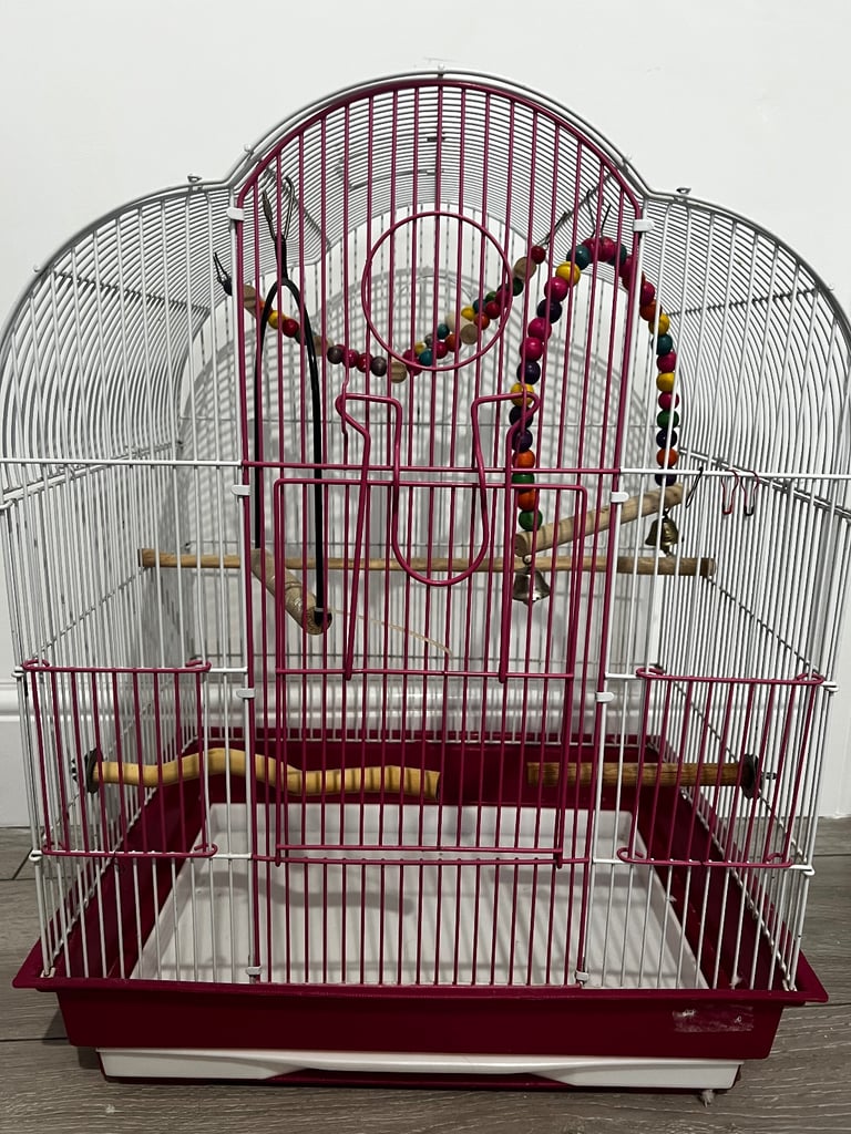 Bird Cage 